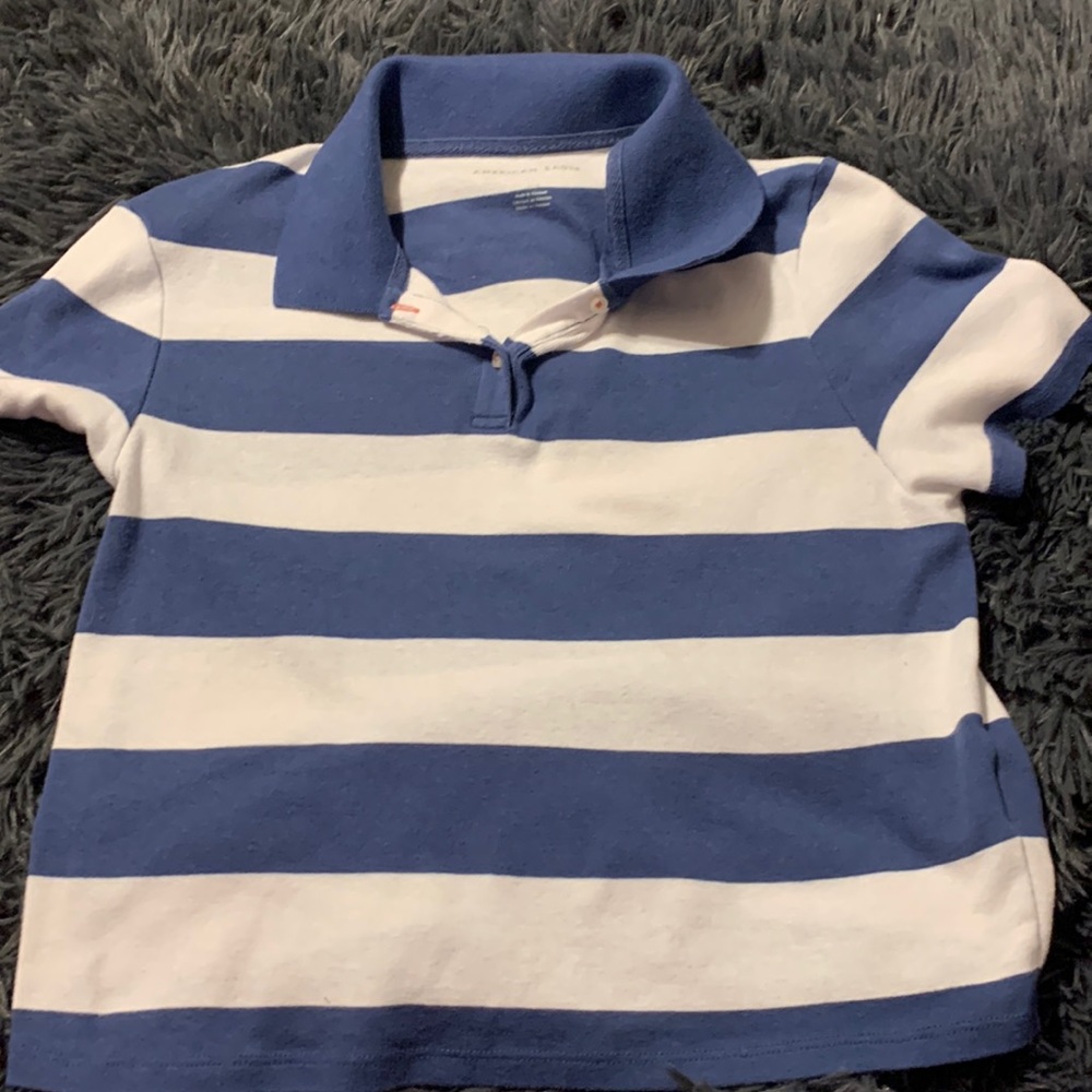 cropped  American eagle shirt. blue and white stripped